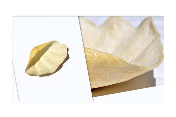 piatto conchiglia cartapesta